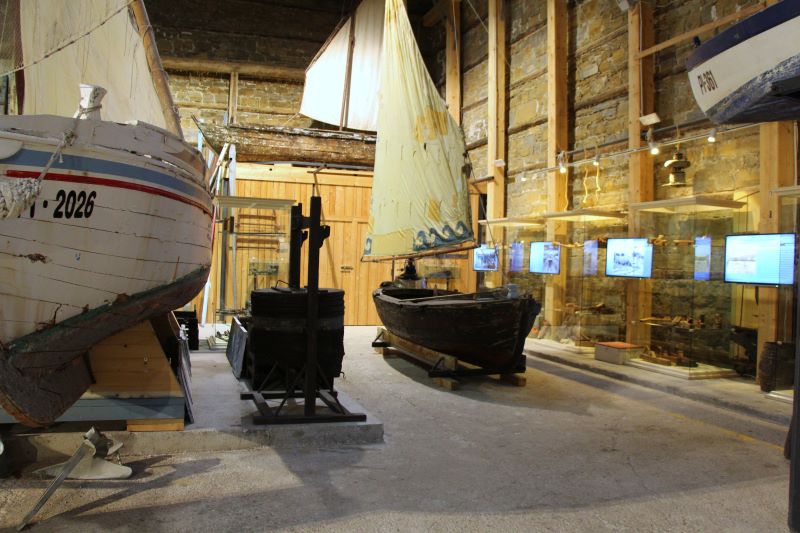 Zbirka jadrnice v monfortu 2